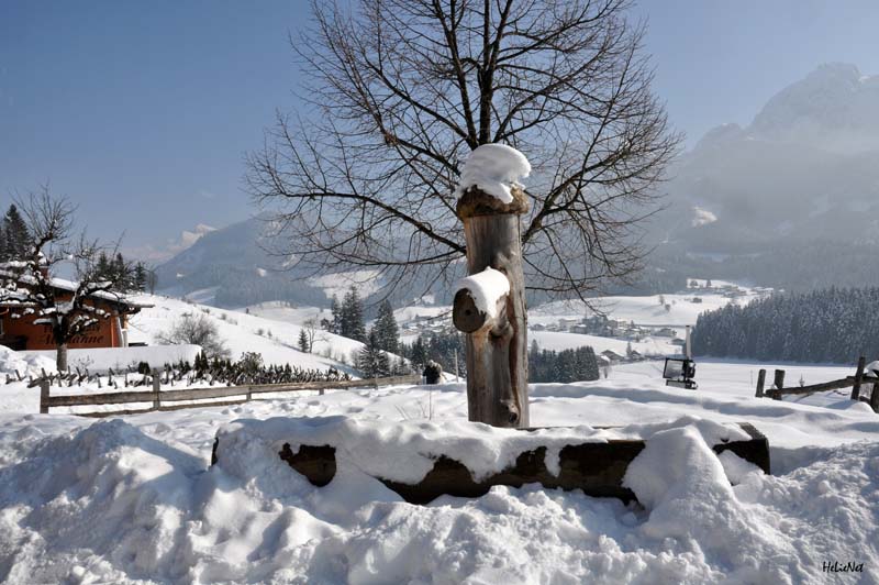 Abtenau_147_Sonnleiten