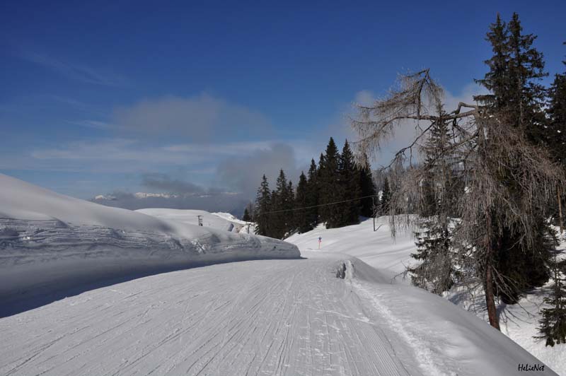 Abtenau_171_Riedlkar