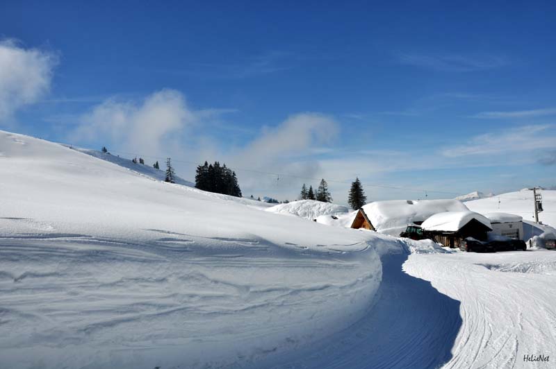 Abtenau_172_Riedlkar