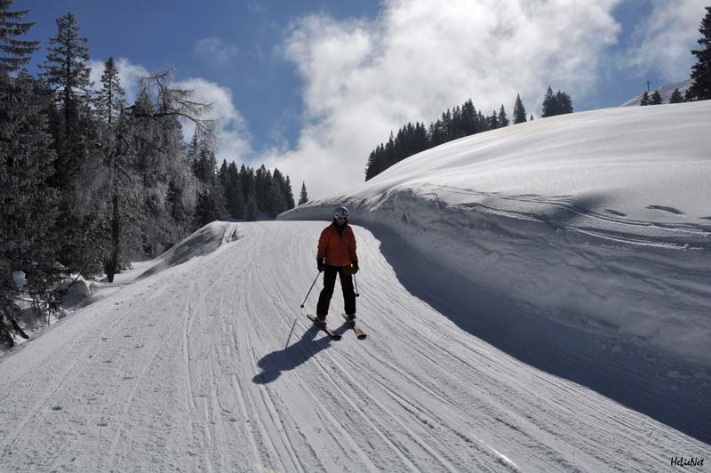 Abtenau_173_Riedlkar