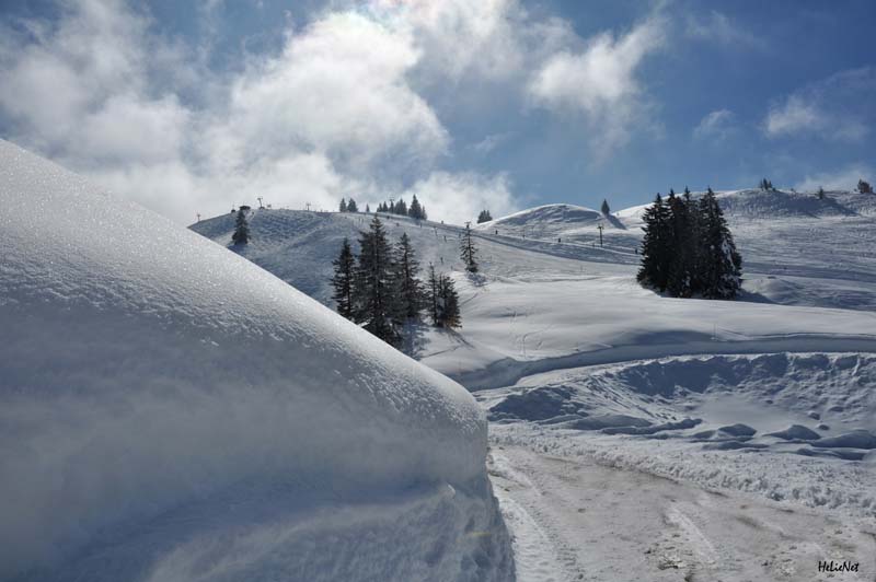 Abtenau_175_Riedlkar