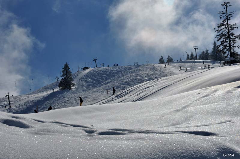 Abtenau_177_Riedlkar