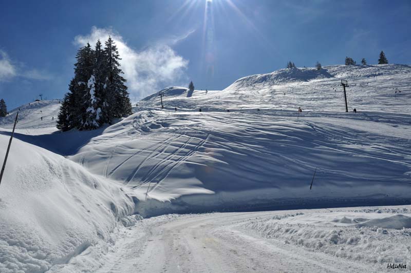 Abtenau_178_Riedlkar