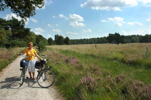 De Hamert 04