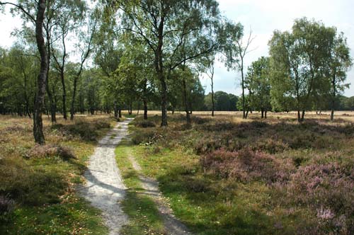 De Hamert 23