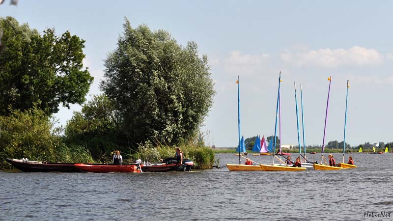 Fryslan_919