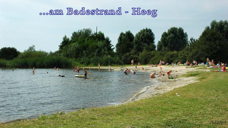 Fryslan_954