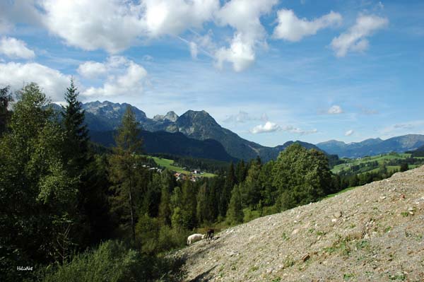 Lammertal_01_Stuhlalm_Tennengebirgsblick