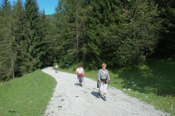 Lammertal_03_Stuhlalm_Austieg