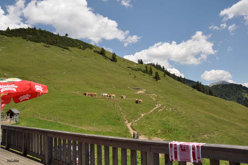 Lammertal_086
