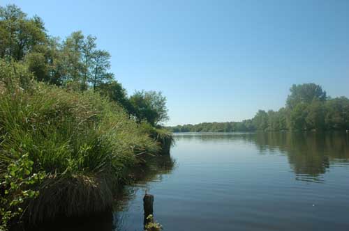 Dewittsee05