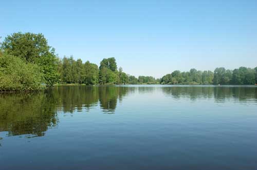 Dewittsee09