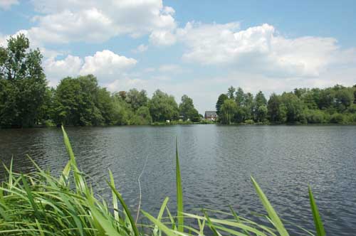 Ferkensbruch19