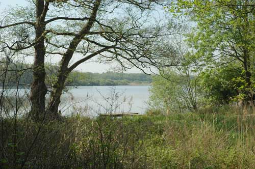 Hinsbeckerbruch15