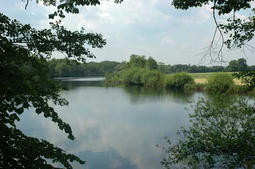 Kaelberweide16