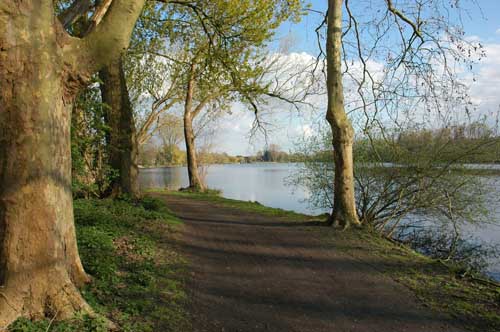 Nettebruch12