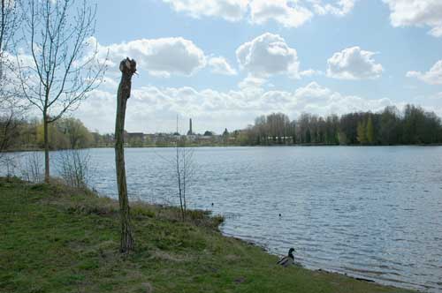 Windmuehlenbruch08