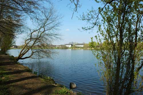 Windmuehlenbruch10