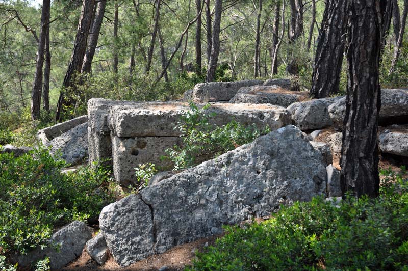 Phaselis09