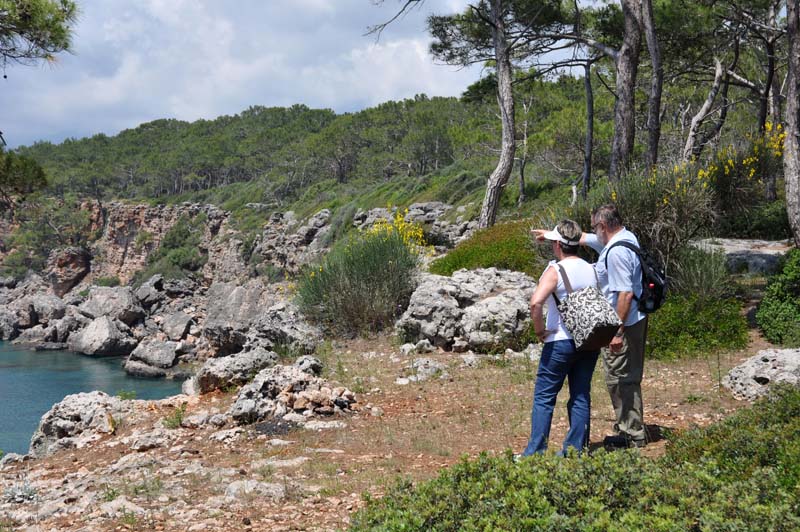Phaselis15