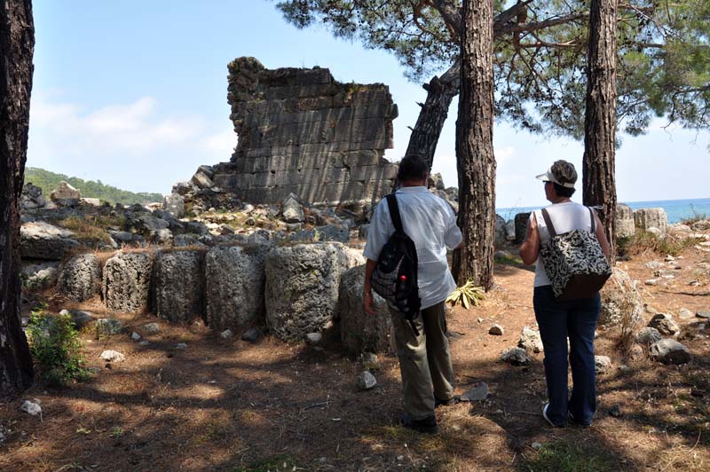 Phaselis26