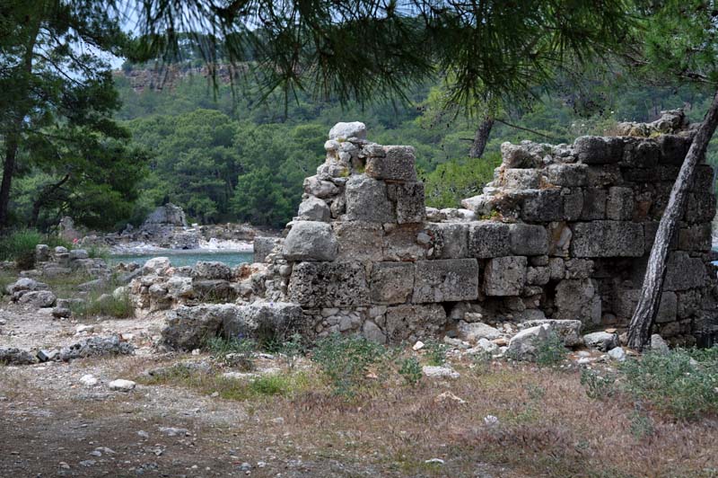 Phaselis40