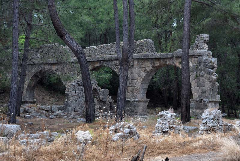Phaselis42