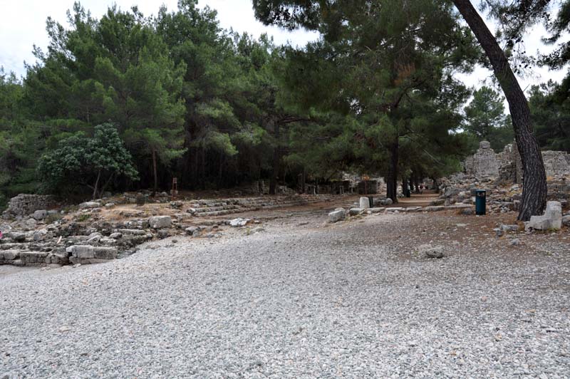 Phaselis43
