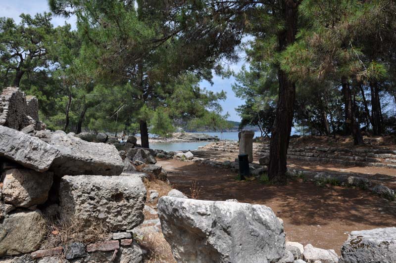 Phaselis48
