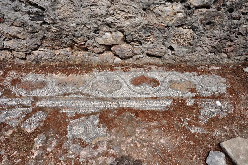 Phaselis50