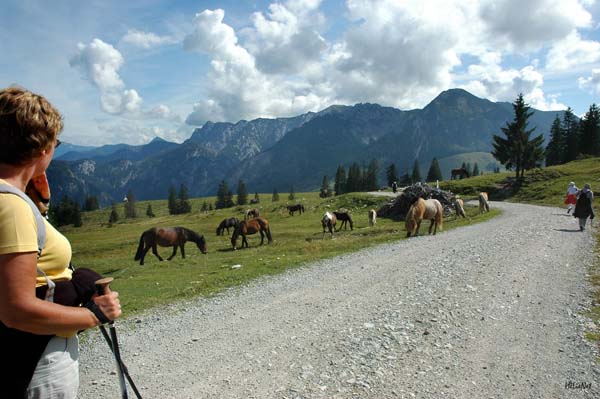Abtenau - Postalm_26