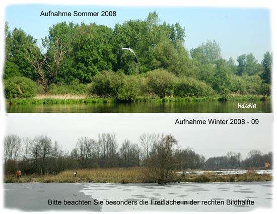 Rohrdommel_Biotop02 a