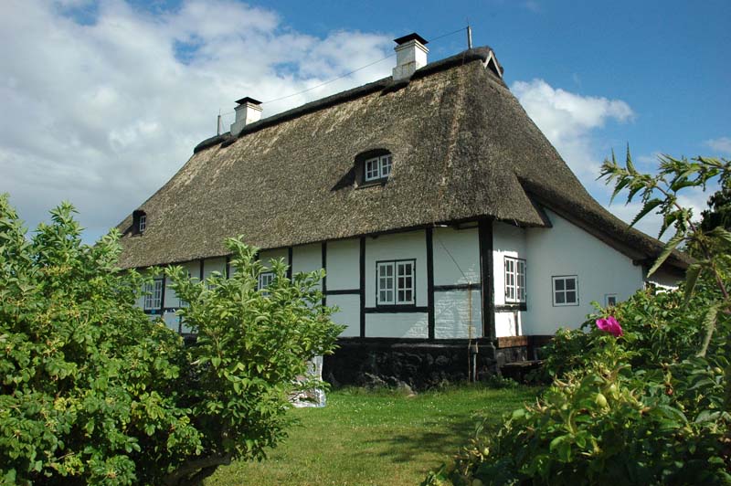 SOT217