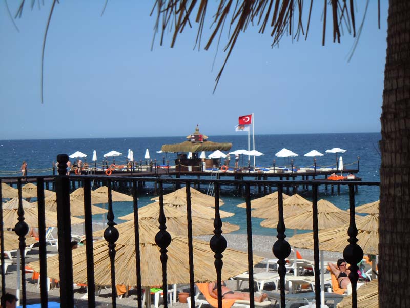 Simena261
