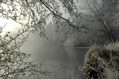 Wittsee0711